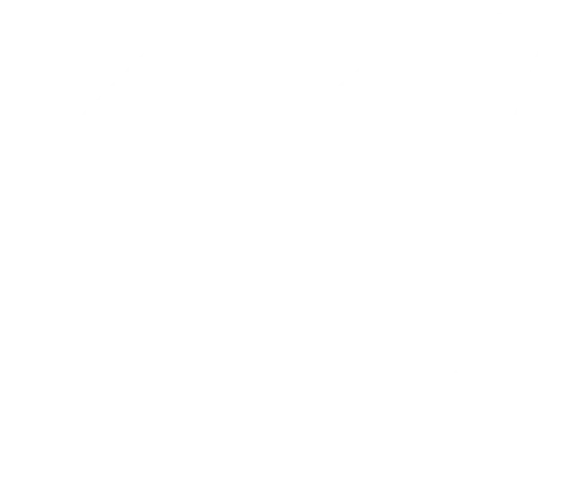 KALYBER cheetah mark